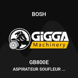 ASPIRATEUR SOUFLEUR 800W