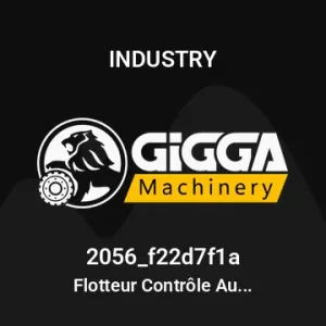 Flotteur Contrôle Automatique 250V avec 10m Câble PVC