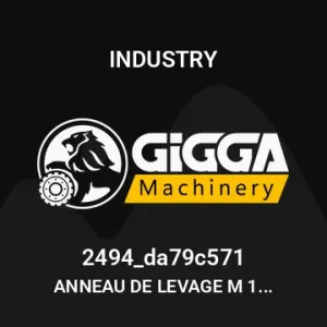 ANNEAU DE LEVAGE M 16 ARTICULE  CMU 2 T - A EMERILLON HR COEF.1/5