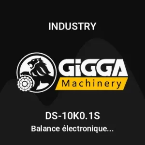 Balance électronique de portée Max 10 kg