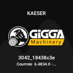 Courroie  6.4834.0 - 1165MM L